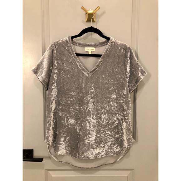 cloth & stone Tops - NWOT Cloth & Stone Silver Velvet Shirt